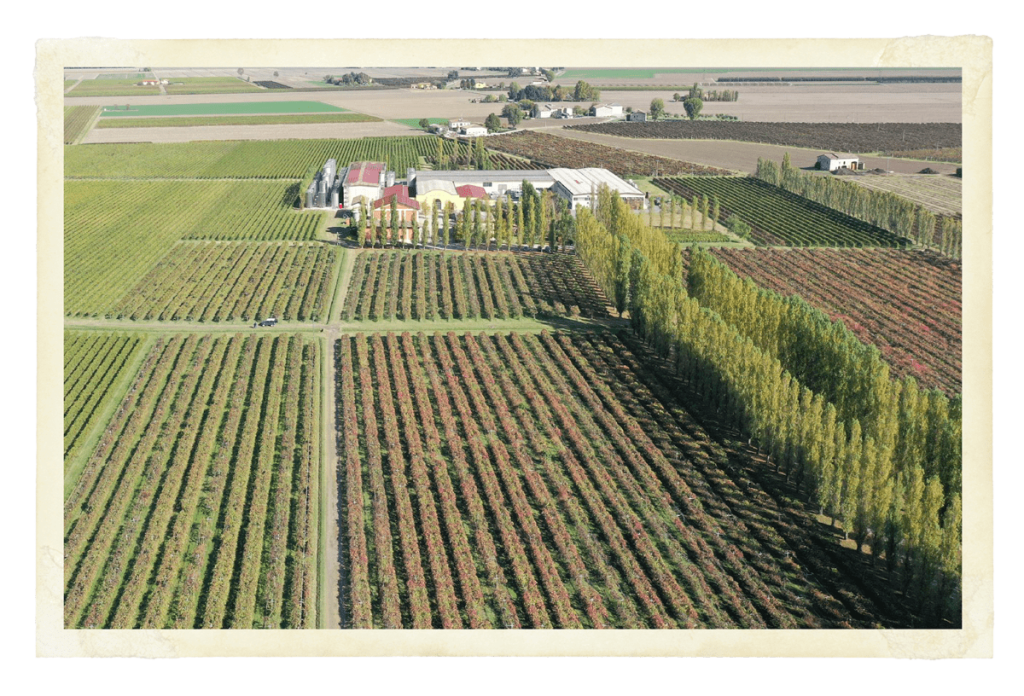 Tenuta Vandelli con vigneti